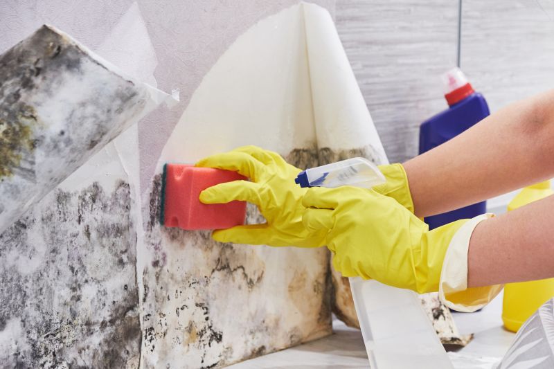Basement Mold Remediation in Dallas, TX