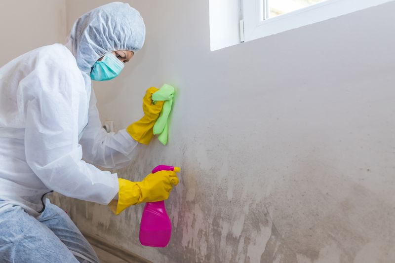 Basement Mold Remediation in Fort Lauderdale, FL