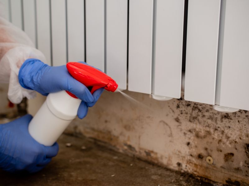 Basement Mold Removal in Essex County, NJ