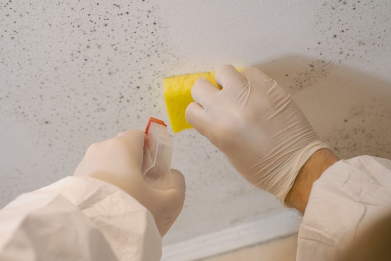 Mold Restoration in Dallas, TX