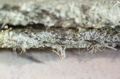Asbestos Mitigation in Old Bridge, NJ