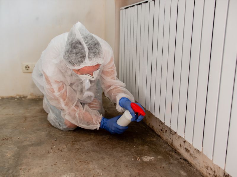 Attic Mold Remediation in Broward County, FL
