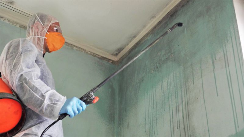 Basement Mold Removal in Broward County, FL