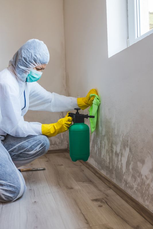 Mold Mitigation Service in Broward County, FL