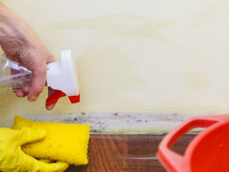 Material Picks that Last