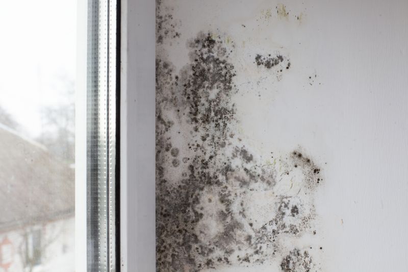 Visible Mold Growth