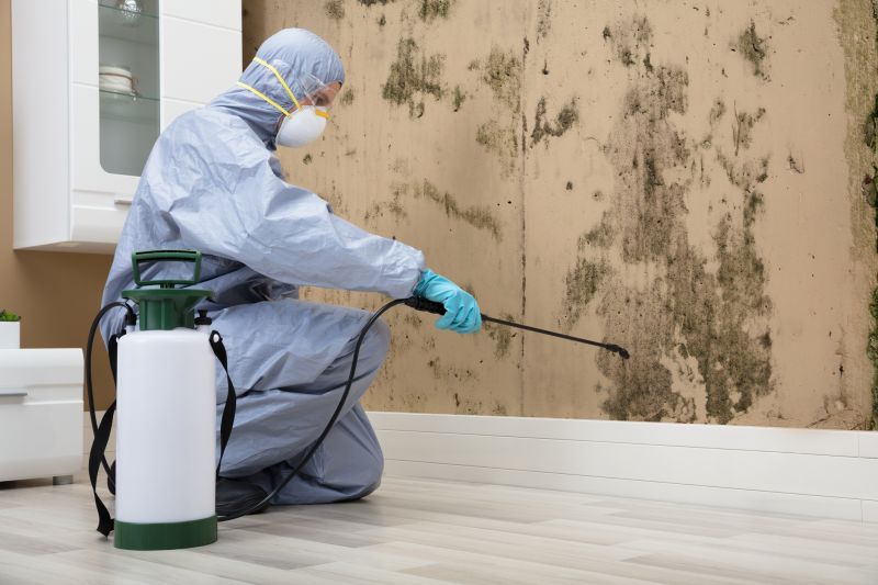 Mold Inspection Experts
