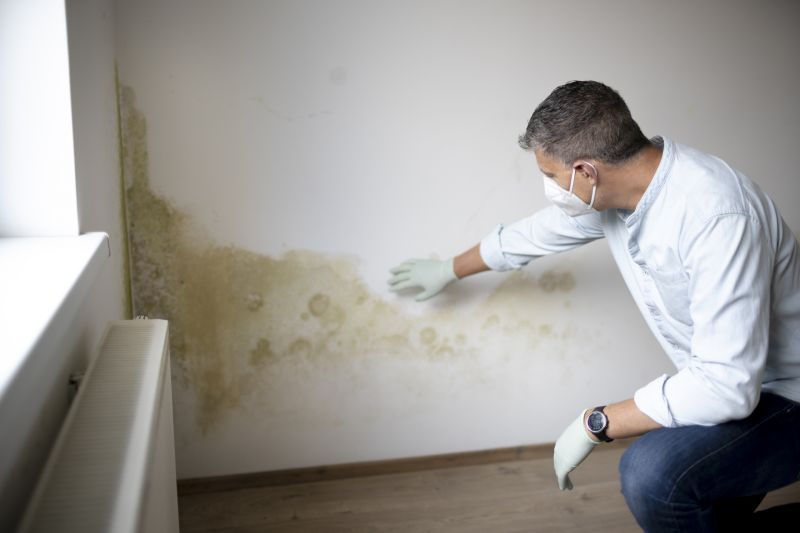 Prompt Mold Inspection