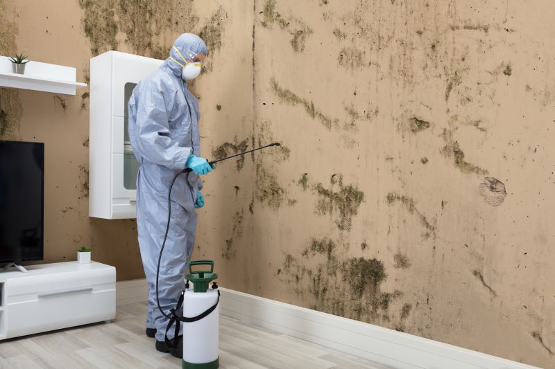 Certified Mold Remediation Experts