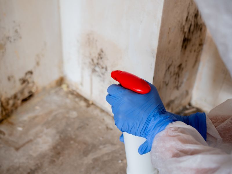 mold remediation