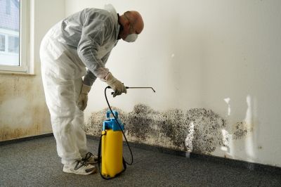 Mold Remediation - Mold Remediation Tarrant County, Texas